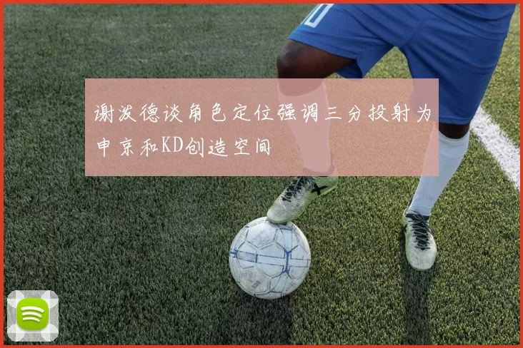 谢泼德谈角色定位强调三分投射为申京和KD创造空间